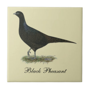 Pheasant Black Hen Fliese
