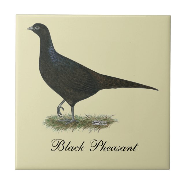 Pheasant Black Hen Fliese (Vorderseite)