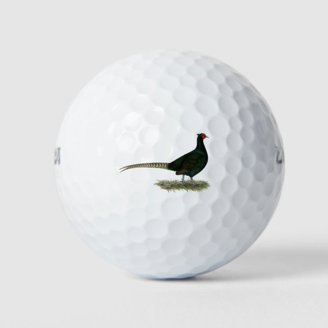Pheasant Black Rooster Golfball (Vorderseite)