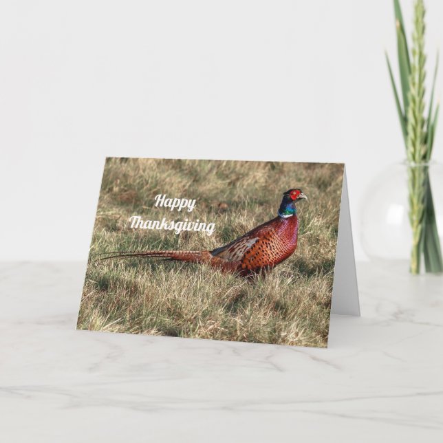 Pheasant-Foto-Erntedank Feiertagskarte (Vorderseite)