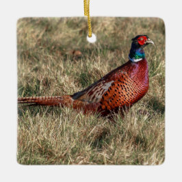 Pheasant-Foto Keramikornament