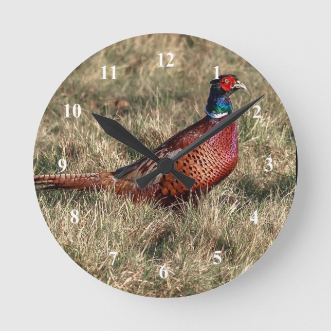 Pheasant-Foto Runde Wanduhr (Vorderseite)