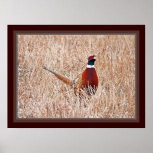 Pheasant-Halswirbel Poster