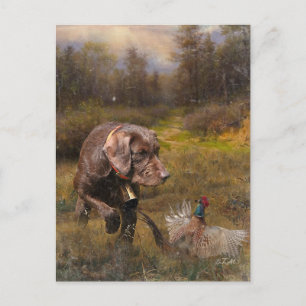 Pheasant Jagen mit Pudelzeigen Postkarte