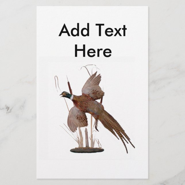 Pheasant Mount (Vorderseite)