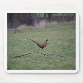 Pheasant Mousepad