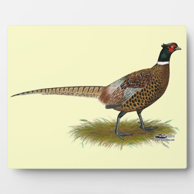 Pheasant Rooster Fotoplatte (Vorderseite)