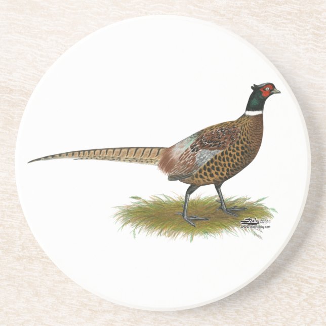 Pheasant Rooster Sandstein Untersetzer (Vorne)