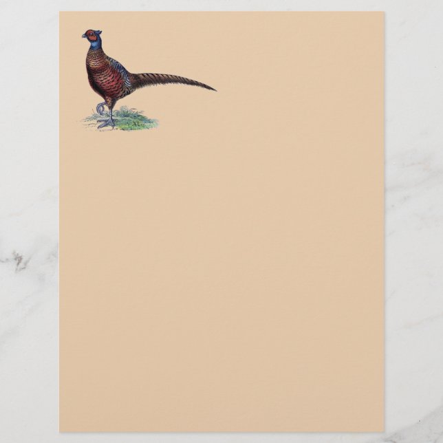 Pheasant Strutt (Vorderseite)