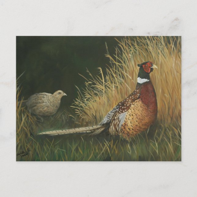 Phéasants dans l'art de terrain Carte postale (Devant)