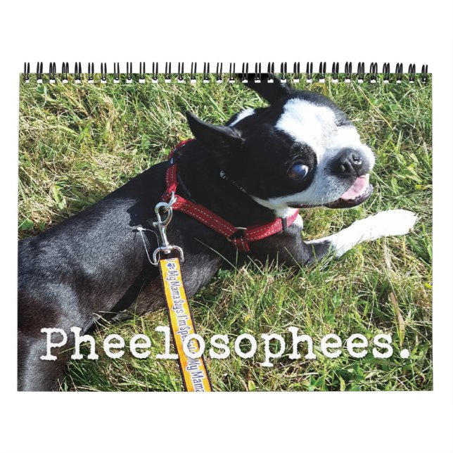 Pheelosophees-Kalender 2016 Kalender (Titelbild)
