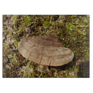 Phellinus igniarius Mushroom Glass Chopping Board Schneidebrett