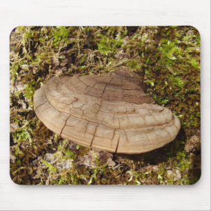 Phellinus igniarius Mushroom Mouse Mat Mousepad