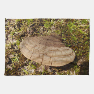 Phellinus igniarius Mushroom Teetuch Geschirrtuch