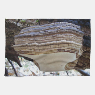 Phellinus igniarius Mushroom Teetuch Handtuch