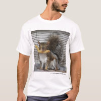 Phil-T-Shirt