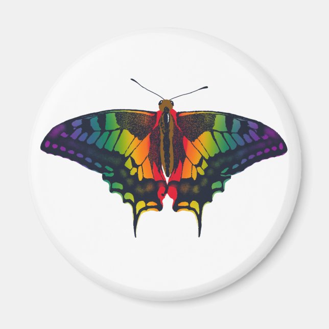 Philadelphia Rainbow Pride Flag Frack Magnet (Vorne)