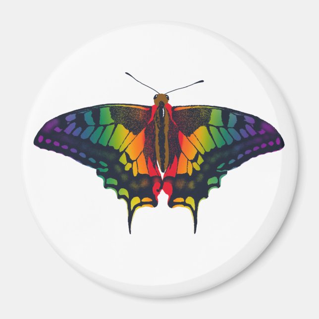 Philadelphia Rainbow Pride Flag Frack Magnet (Vorne)