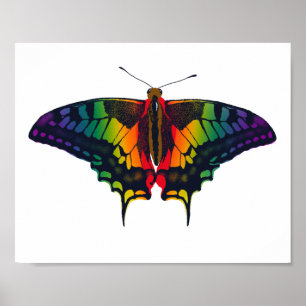Philadelphia Rainbow Pride Flag Frack Poster