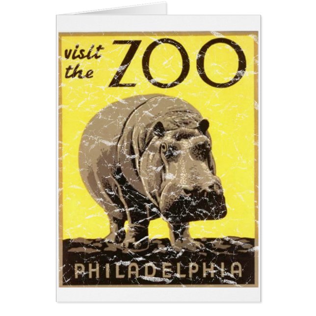 Philadelphia Zoo-Hippo (Vorne)