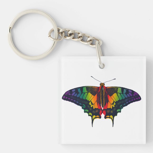 Philadelphie Rainbow Pride Flag Swallowtail (Devant)