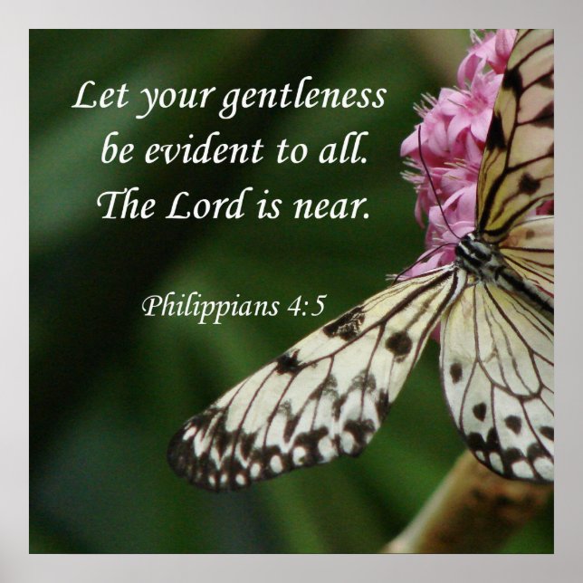 Philippians 4:5 Butterfly Flowers Poster (Vorne)