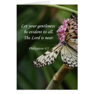 Philippians-4:5 Schmetterlings-Blumen