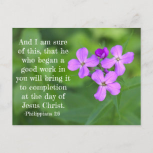 Philippiens 1:6 Carte postale Fleur sauvage