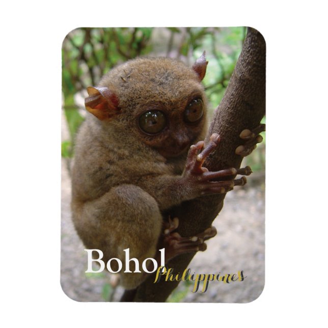 Philippine Tarsier aus Bohol Magnet (Vertikal)