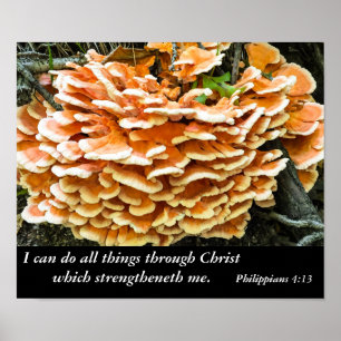 Philippinen 4:13 Bibelverse-Poster Poster