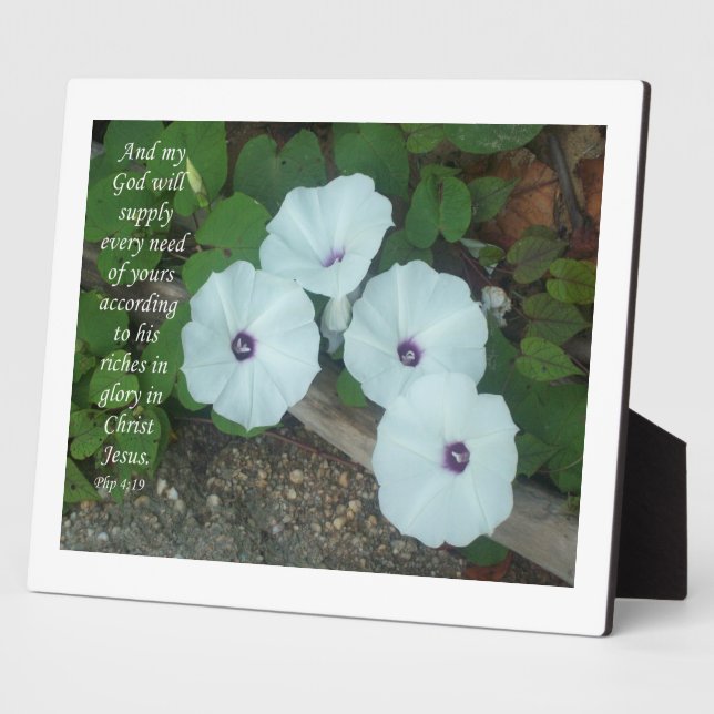 Philippinen 4:19 fotoplatte (Seite)