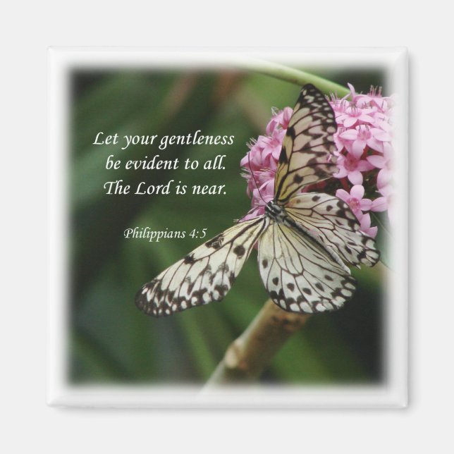 Philippinen 4:5 Schmetterlingsfliege-Blume Magnet (Vorne)
