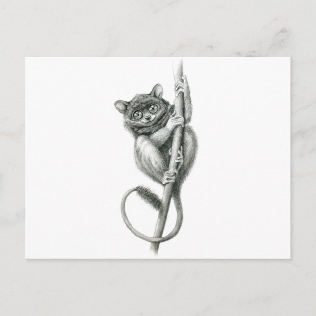 Philipppine Tarsier schukina Postkarte (Vorderseite)