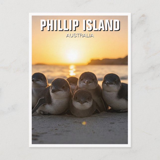 Phillip Island Australien Postkarte (Vorderseite)