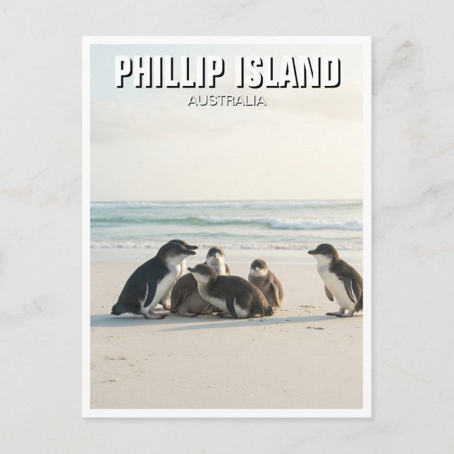 Phillip Island Australien Postkarte (Vorderseite)