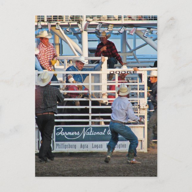 Phillipsburg, Kansas Rodeo 2007 Postkarte (Vorderseite)