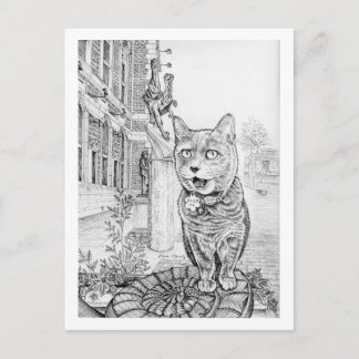 Philly Cat near Academy of Natural Sciences  Postkarte