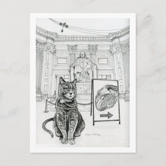 Philly-Katze in der Nähe des Franklin-Denkmals Postkarte (Vorderseite)