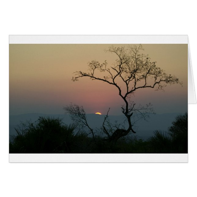 Phinda Sunset (Vorderseite (Horizontal))