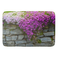 Phlox auf Felsen