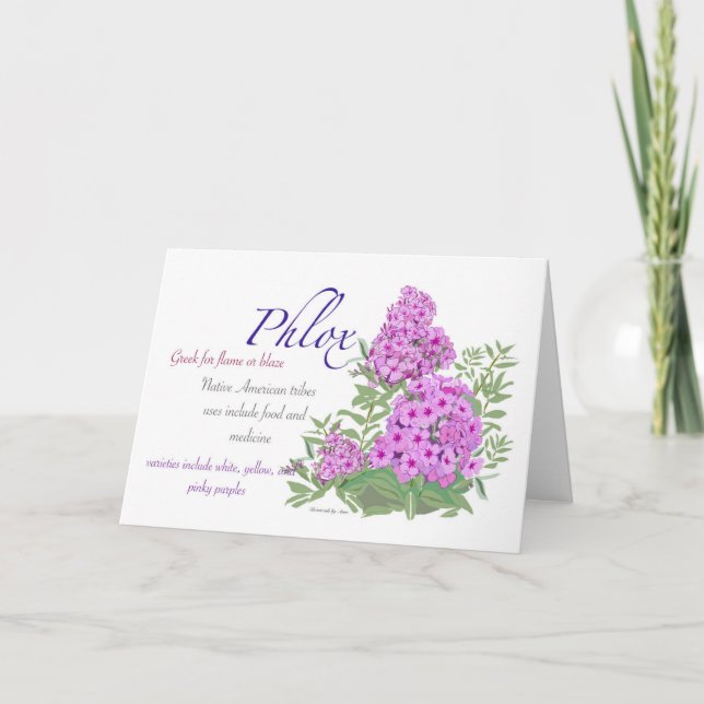 Phlox Blank Card Dankeskarte (Vorderseite)