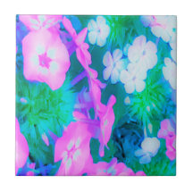 Phlox-Blume in Rosa, Grün, Blau und Weiß.