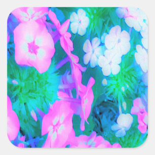 Phlox-Blume in Rosa, Grün, Blau und Weiß. Quadratischer Aufkleber