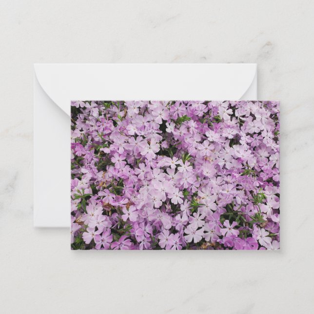 Phlox-Blume Mitteilungskarte (Vorderseite)