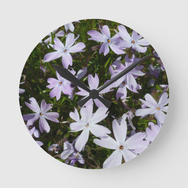 Phlox-Blume Runde Wanduhr (Vorderseite)