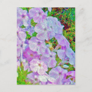 PHLOX-MALETTE POSTKARTE