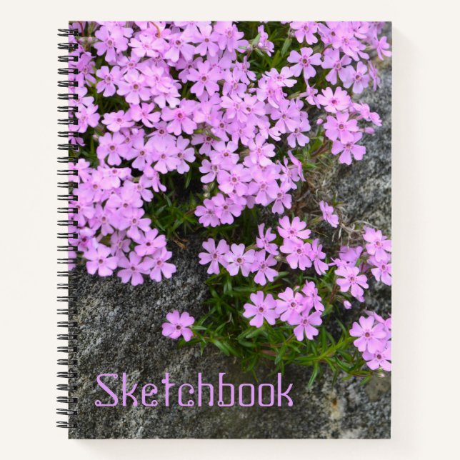 Phlox on Rocks Sketch Notizbuch (Vorderseite)