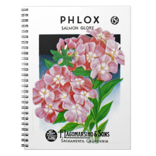 Phlox-Packungs-Etikett Notizblock