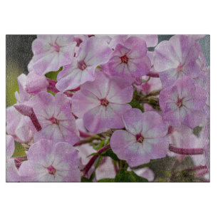 Phlox, rosa Blumenfotografie Schneidebrett