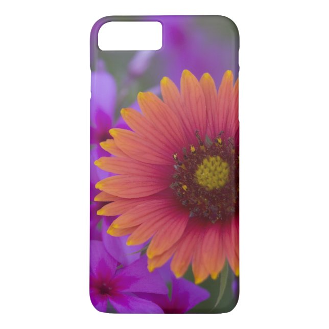 Phlox und Indianerblanket bei Devine Texas Case-Mate iPhone Hülle (Rückseite)